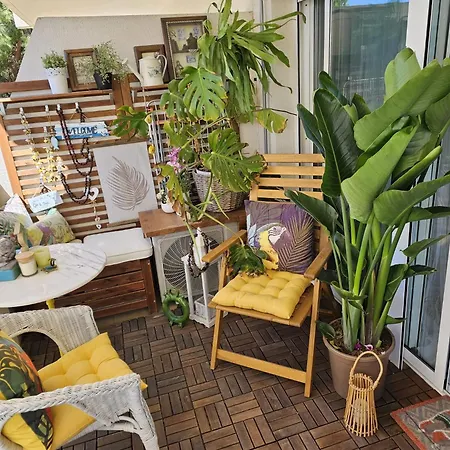 Apartment Apto La Mimosa - *