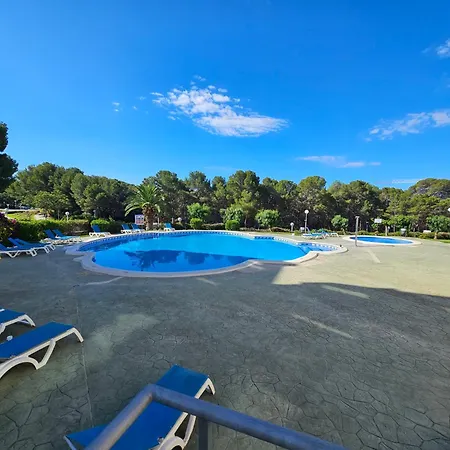 Apartamento Apto La Mimosa - *